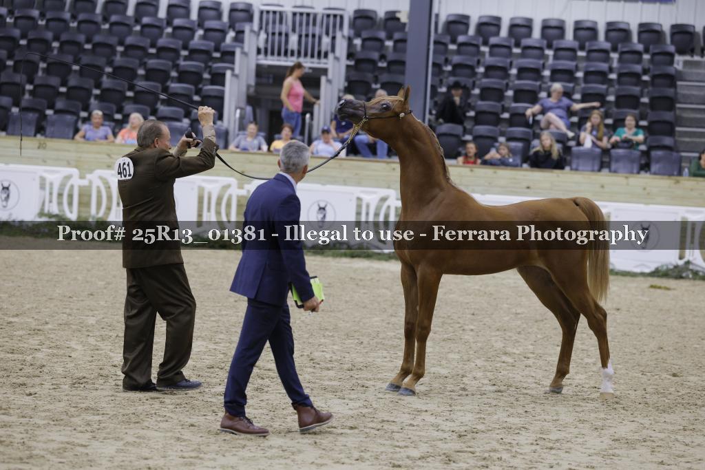 Proof 25R13_01381