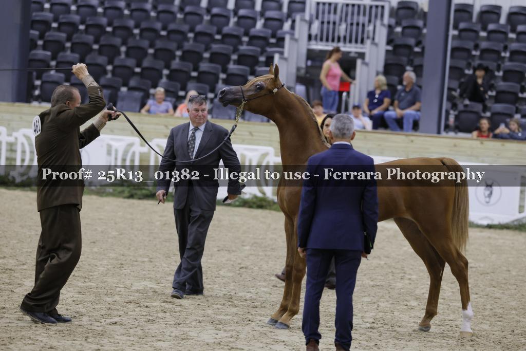 Proof 25R13_01382