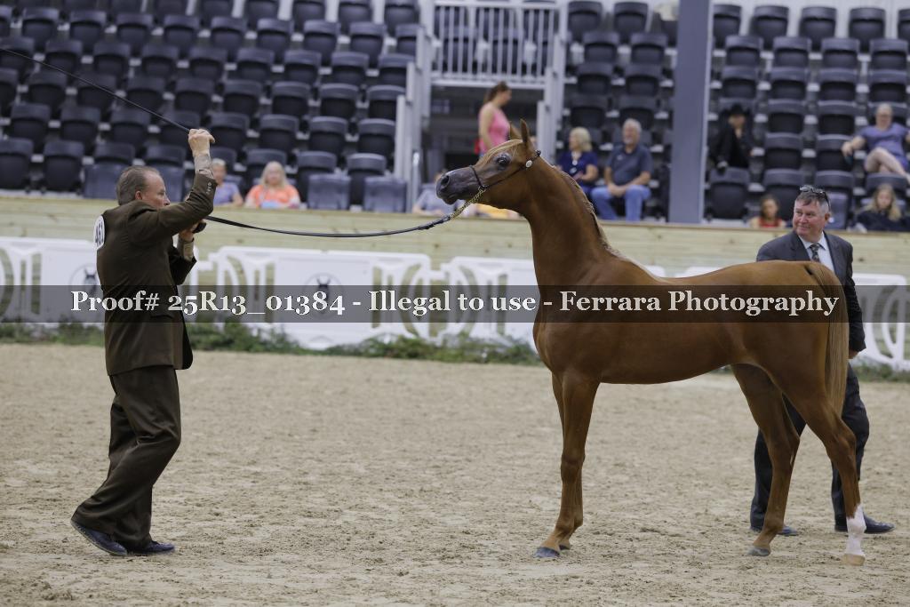 Proof 25R13_01384