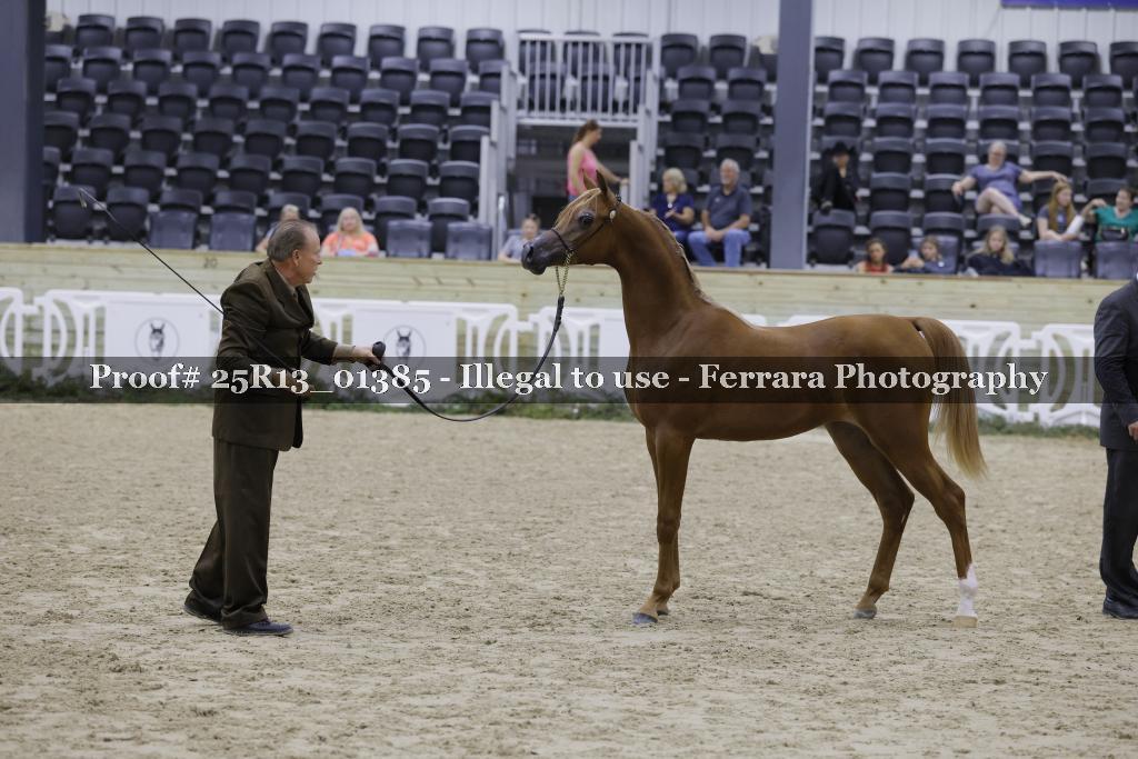 Proof 25R13_01385