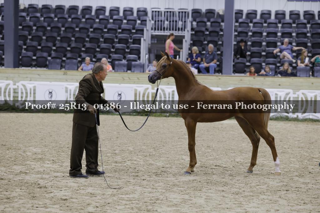 Proof 25R13_01386