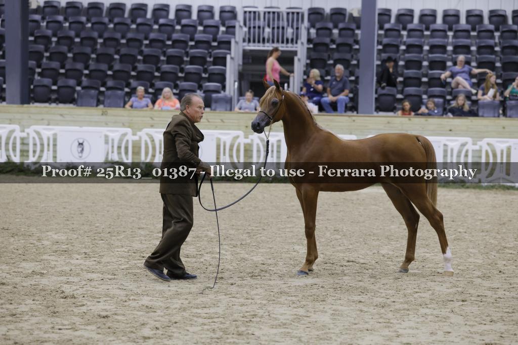Proof 25R13_01387