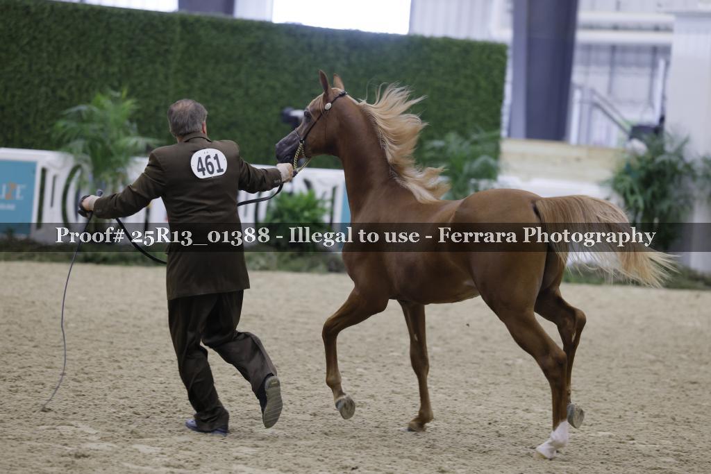 Proof 25R13_01388