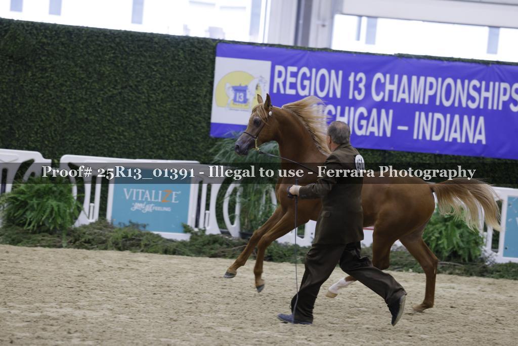 Proof 25R13_01391