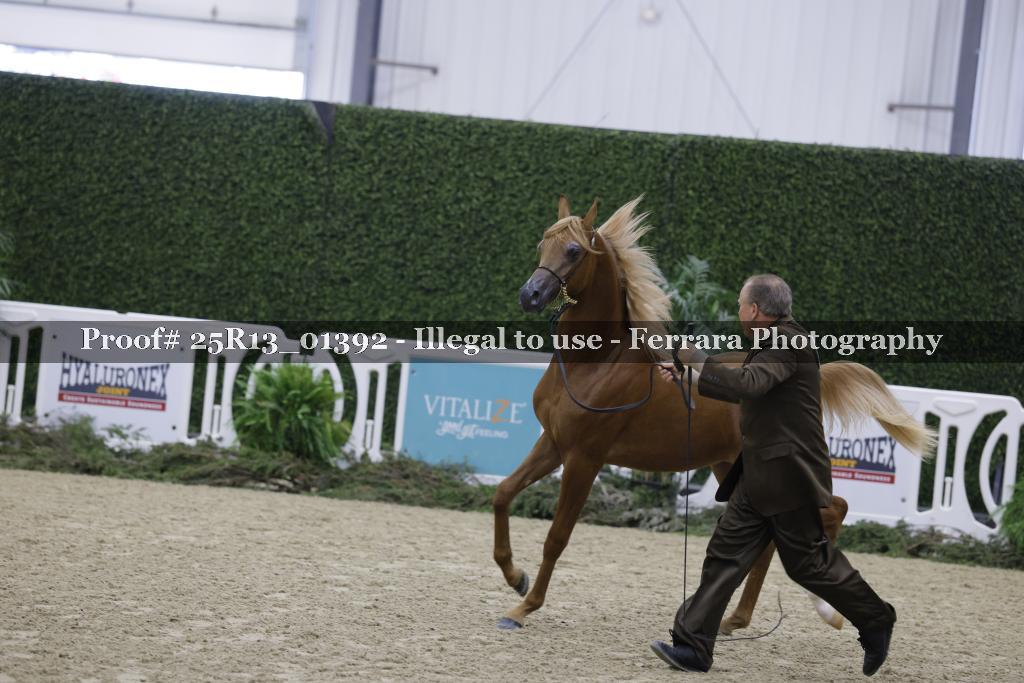 Proof 25R13_01392