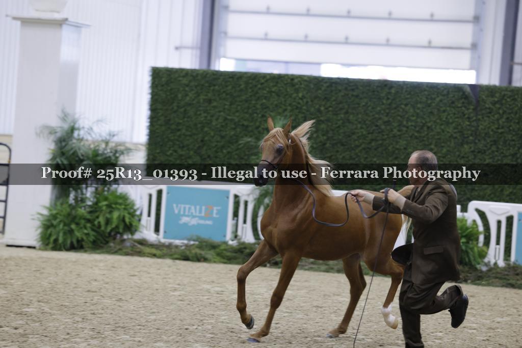 Proof 25R13_01393