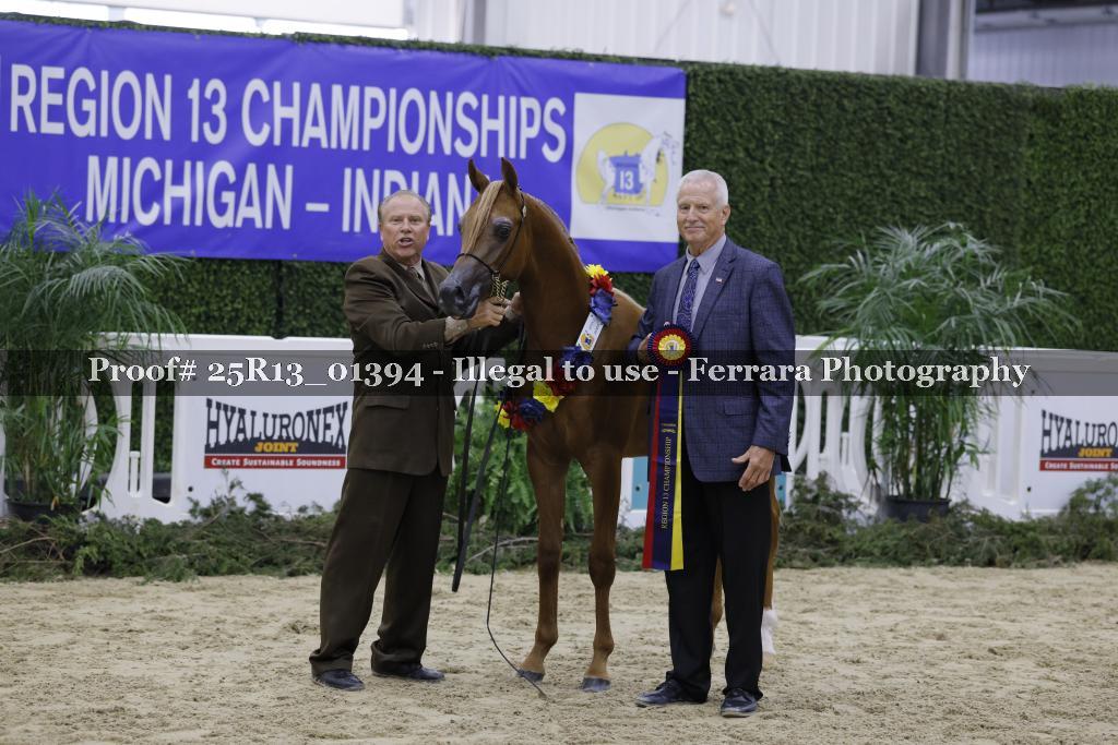 Proof 25R13_01394