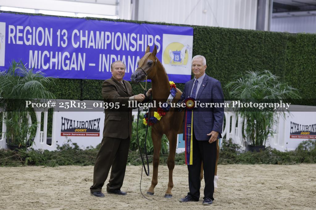 Proof 25R13_01395