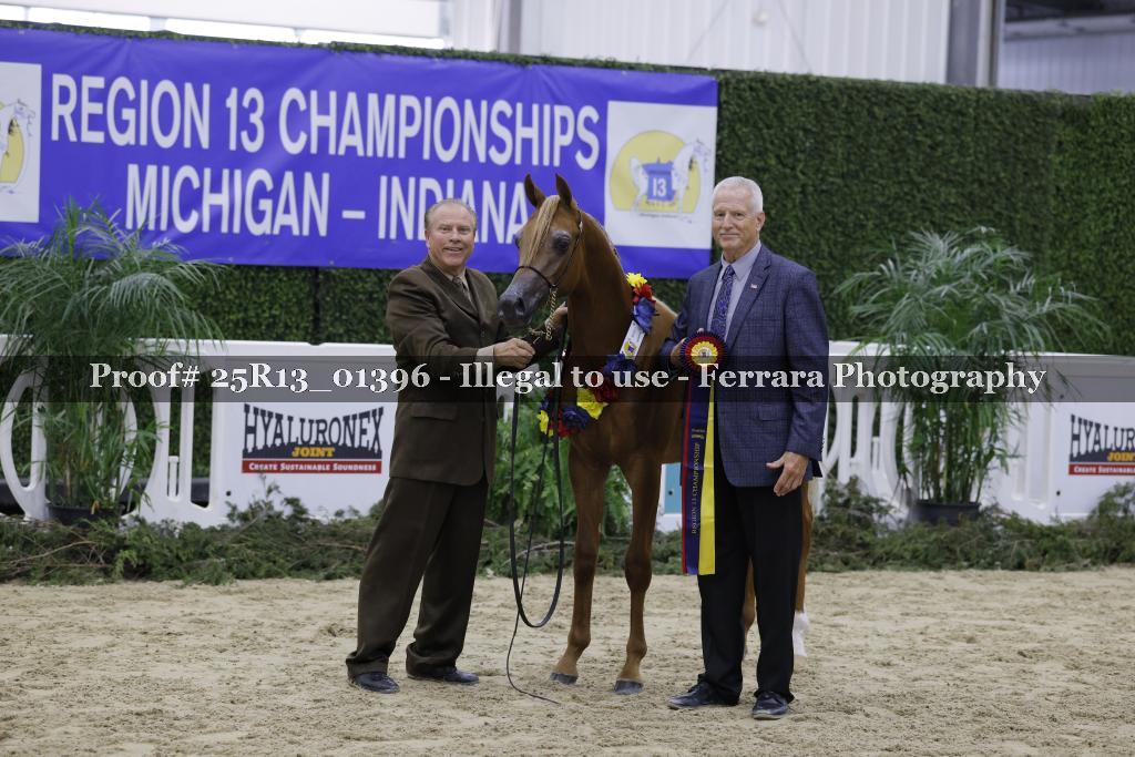 Proof 25R13_01396