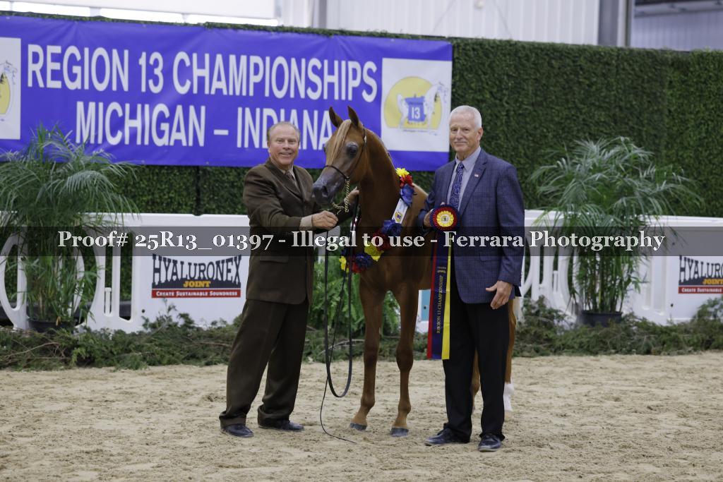 Proof 25R13_01397