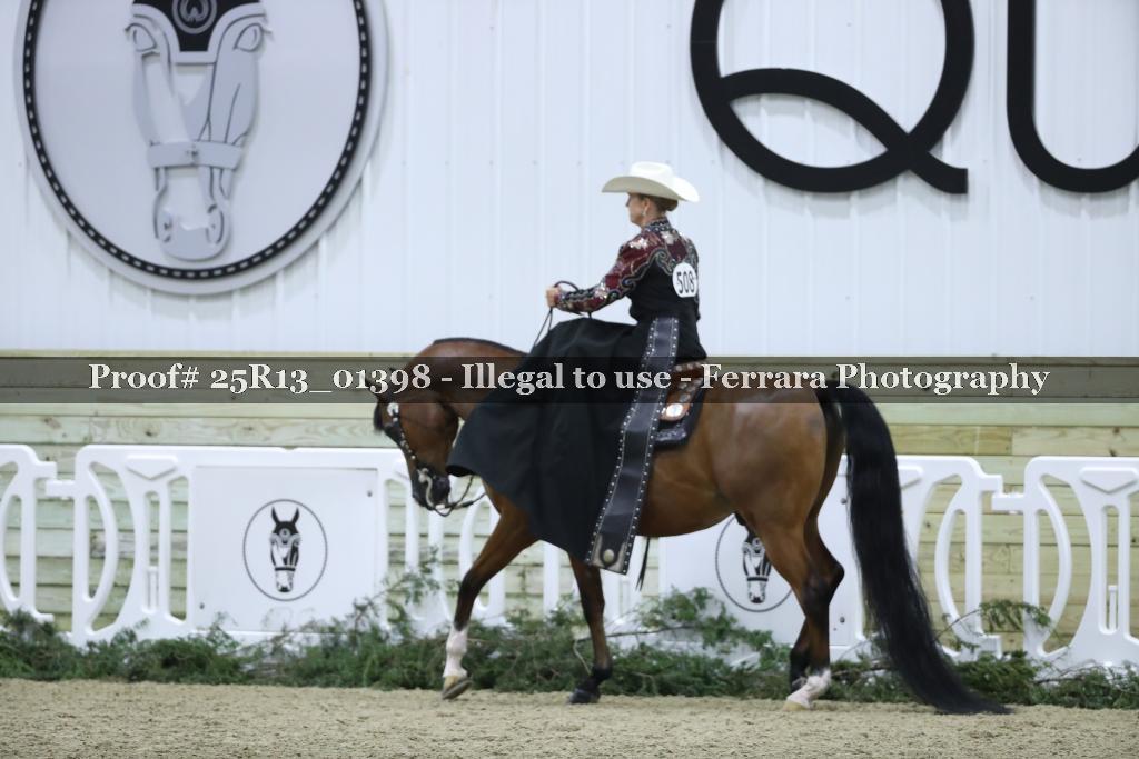 Proof 25R13_01398