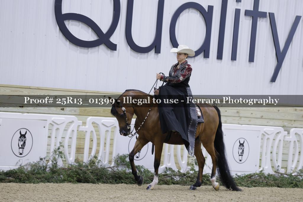 Proof 25R13_01399