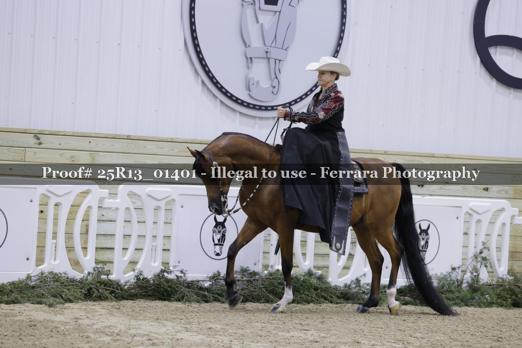 Proof 25R13_01401