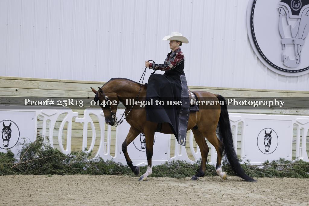 Proof 25R13_01402