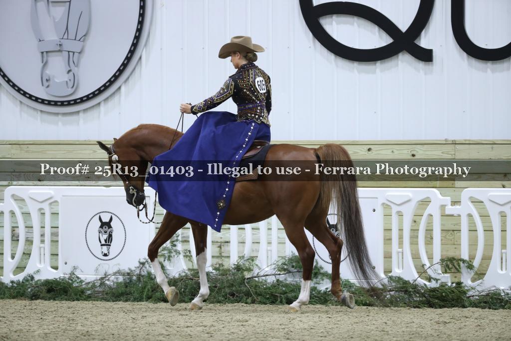 Proof 25R13_01403