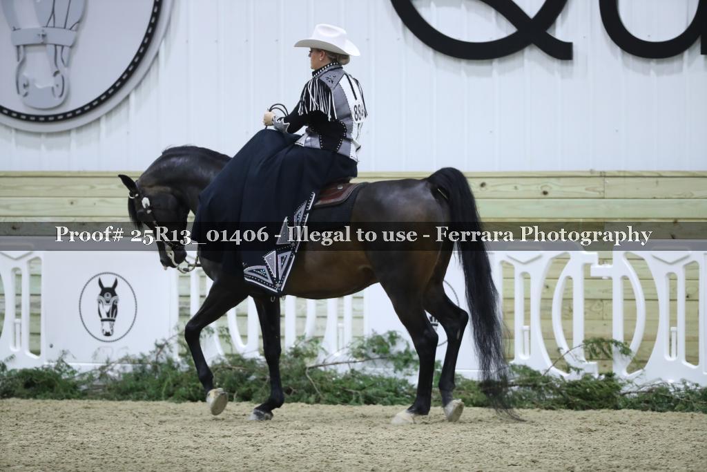 Proof 25R13_01406