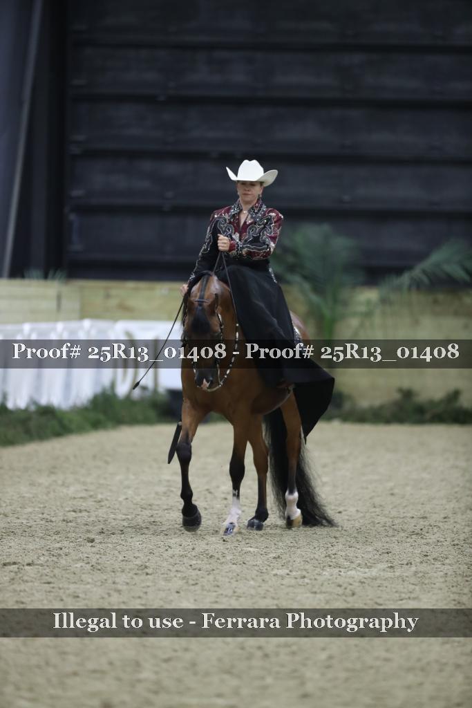 Proof 25R13_01408
