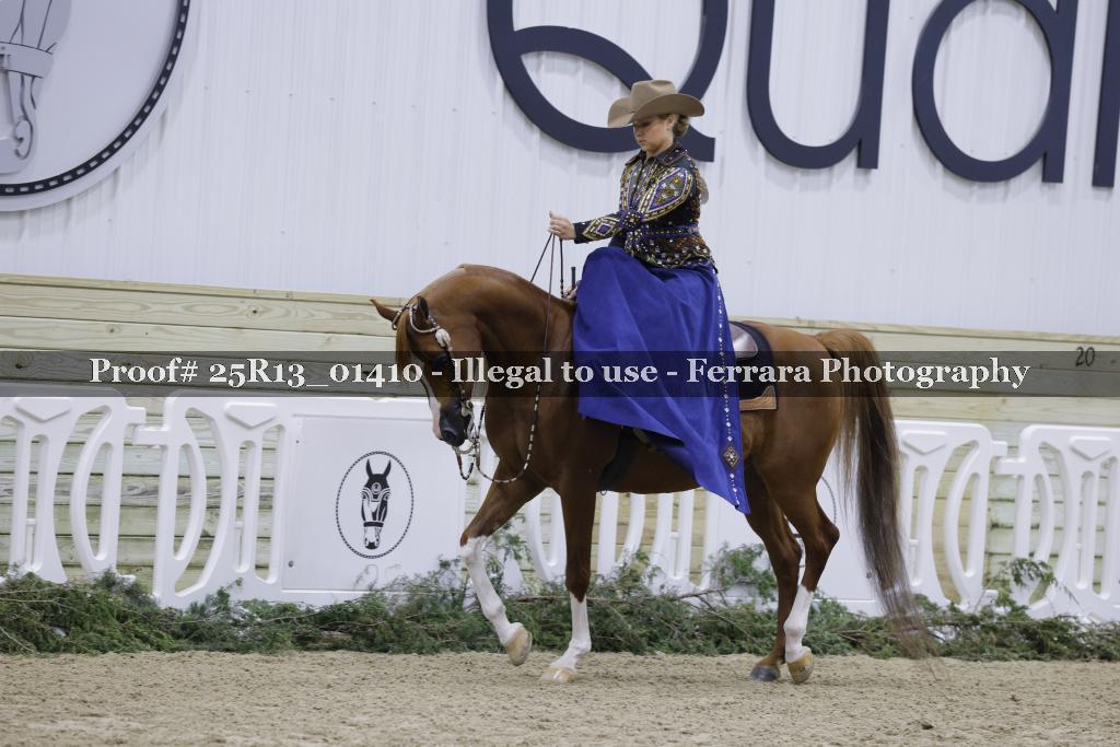 Proof 25R13_01410
