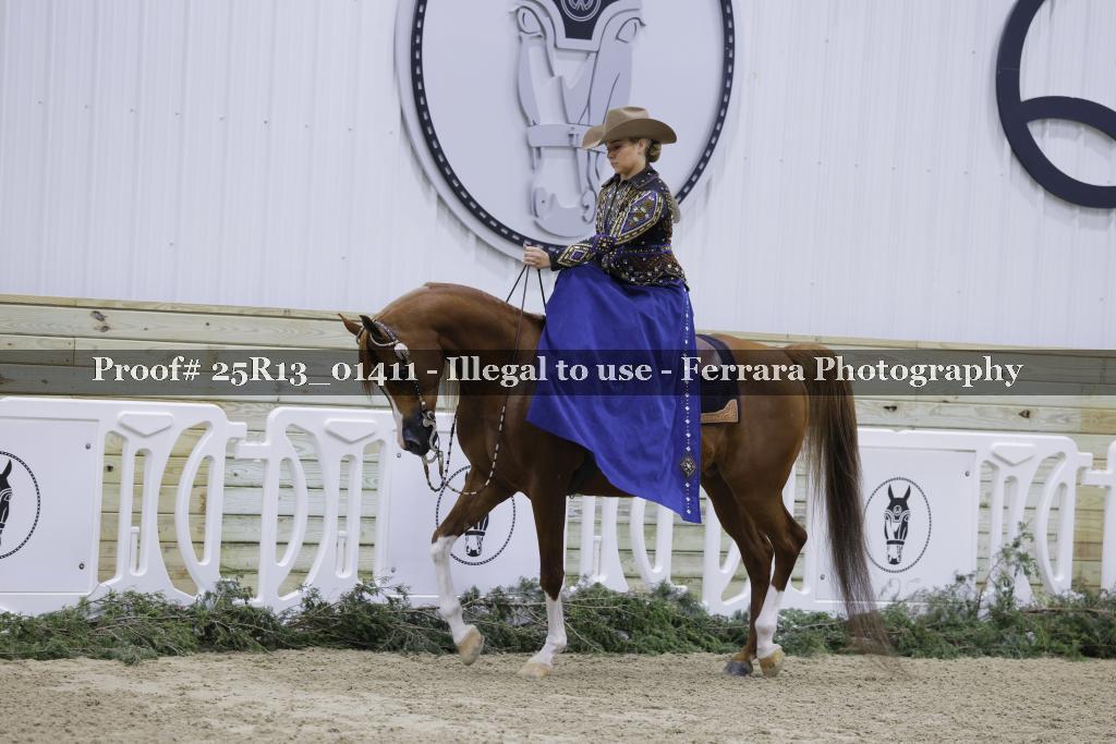 Proof 25R13_01411