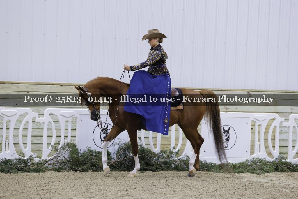 Proof 25R13_01413