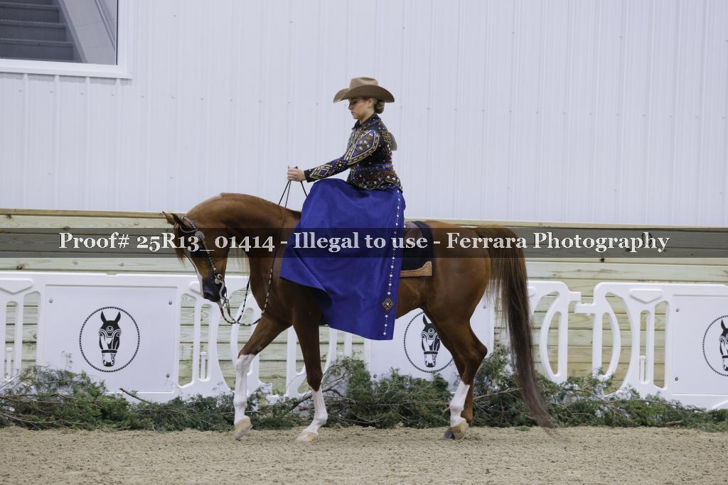 Proof 25R13_01414