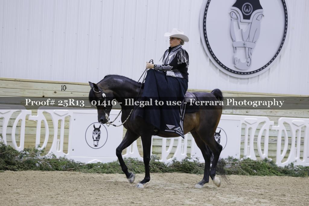 Proof 25R13_01416