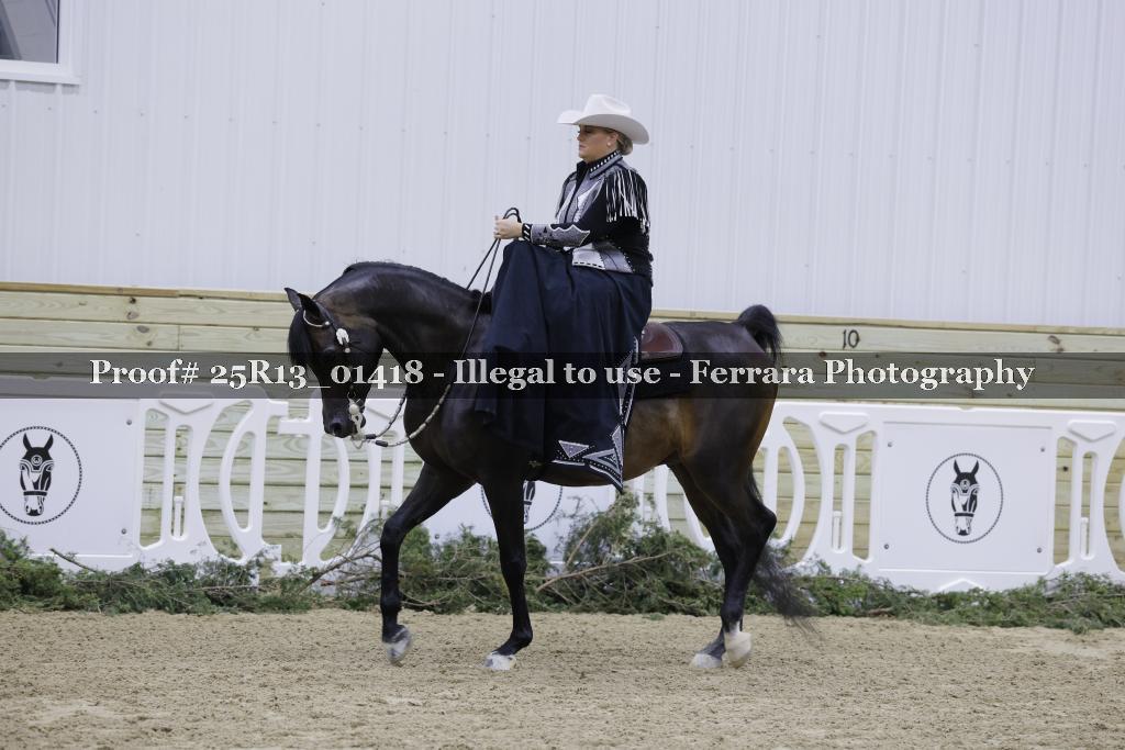 Proof 25R13_01418