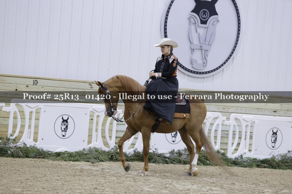 Proof 25R13_01420
