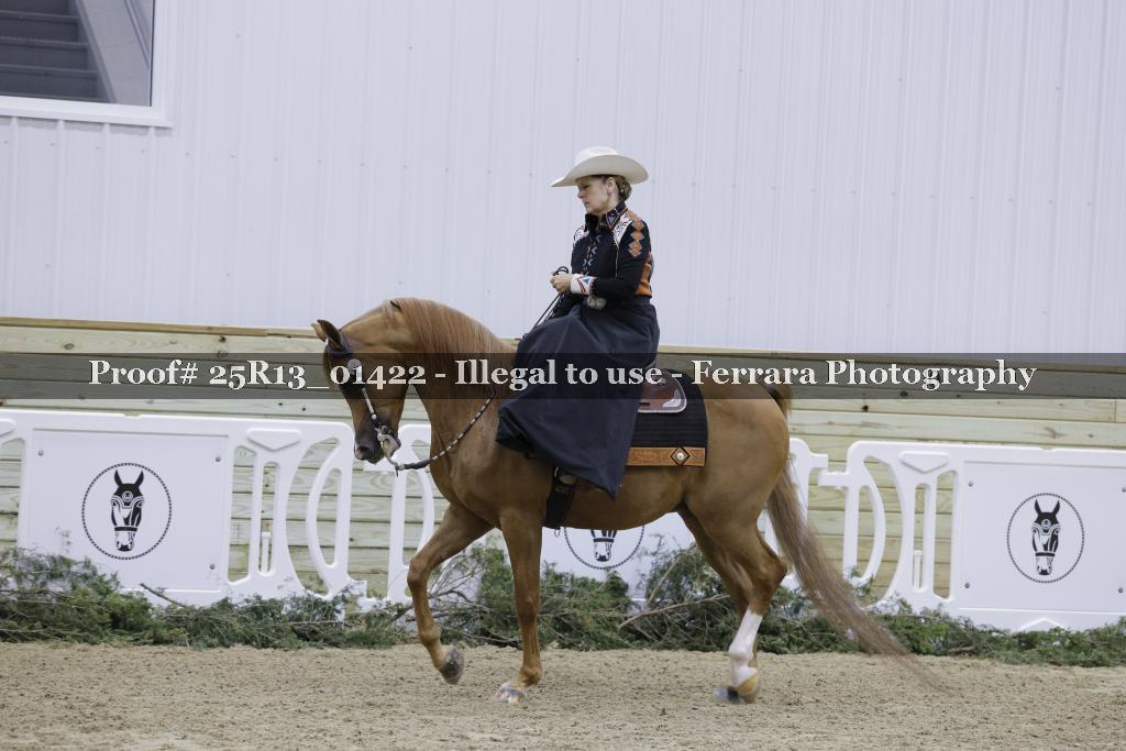 Proof 25R13_01422