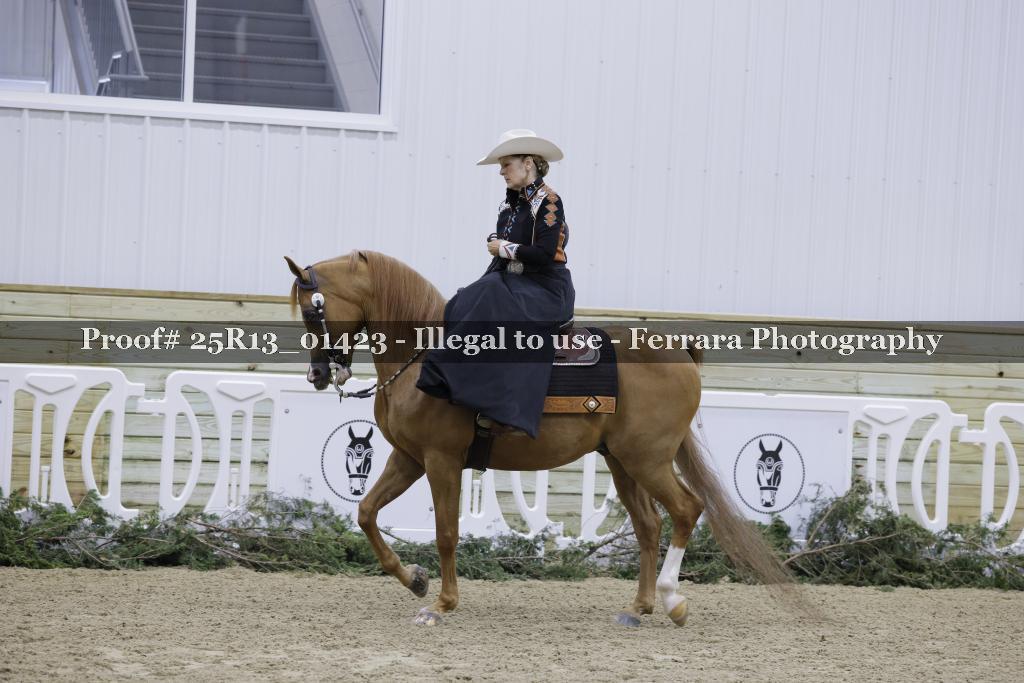 Proof 25R13_01423