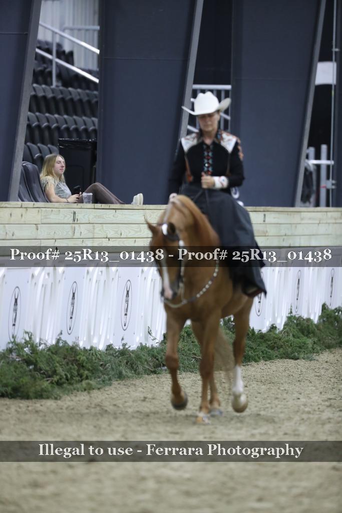 Proof 25R13_01438