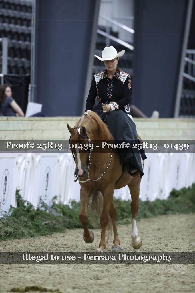 Proof 25R13_01439