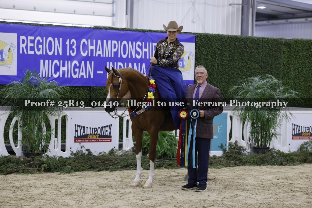 Proof 25R13_01440