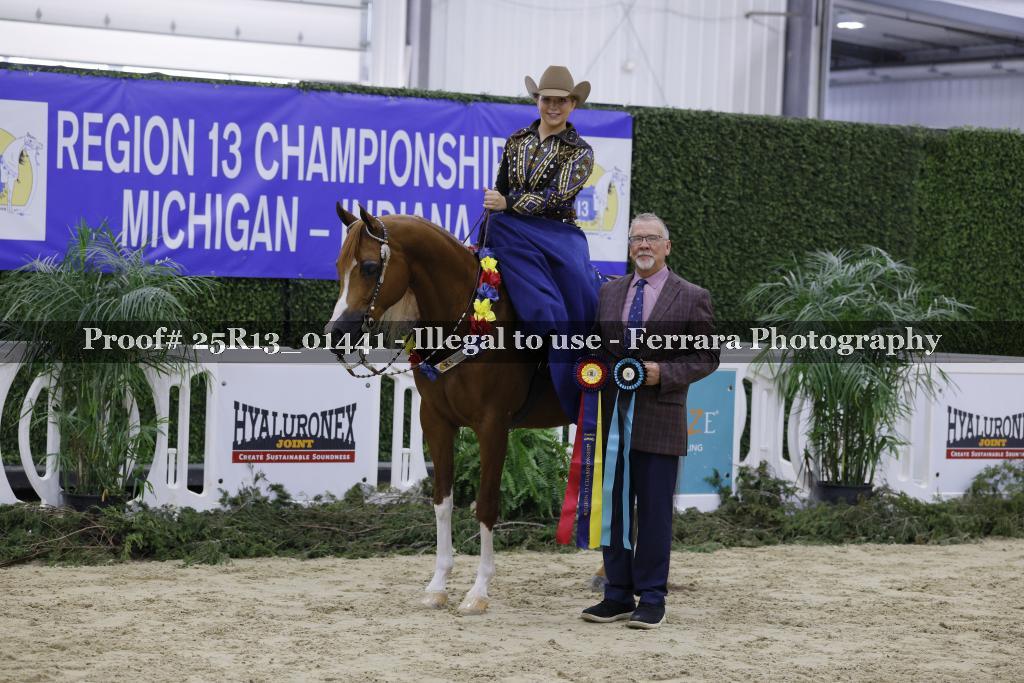 Proof 25R13_01441