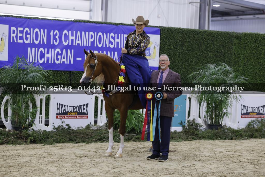 Proof 25R13_01442