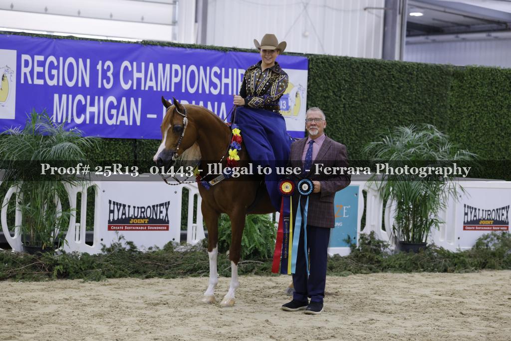 Proof 25R13_01443