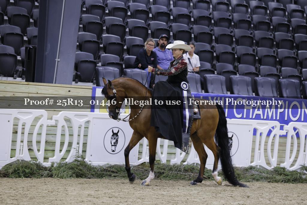 Proof 25R13_01446