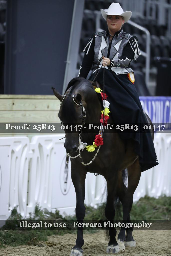 Proof 25R13_01447