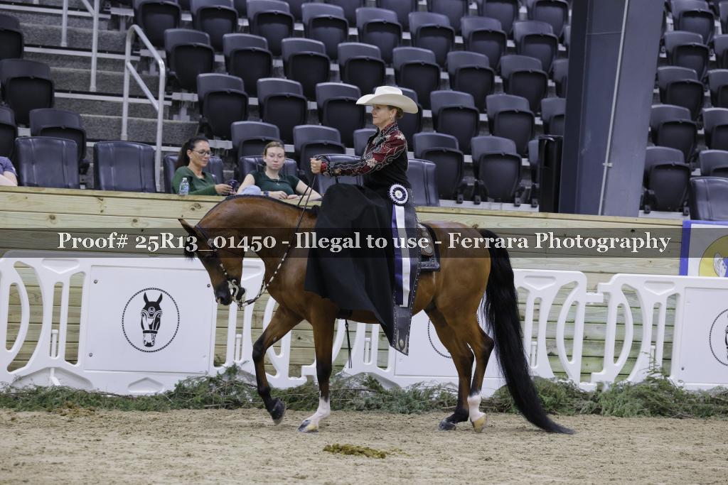 Proof 25R13_01450
