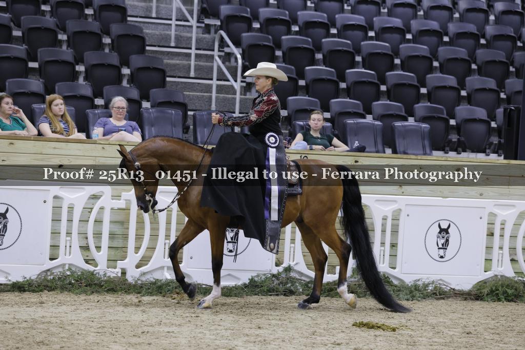 Proof 25R13_01451