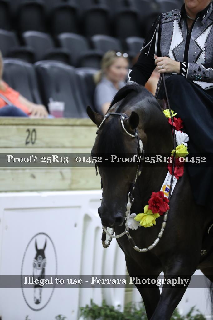 Proof 25R13_01452