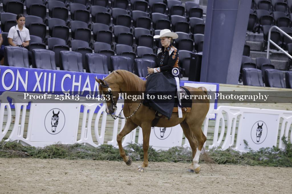 Proof 25R13_01453