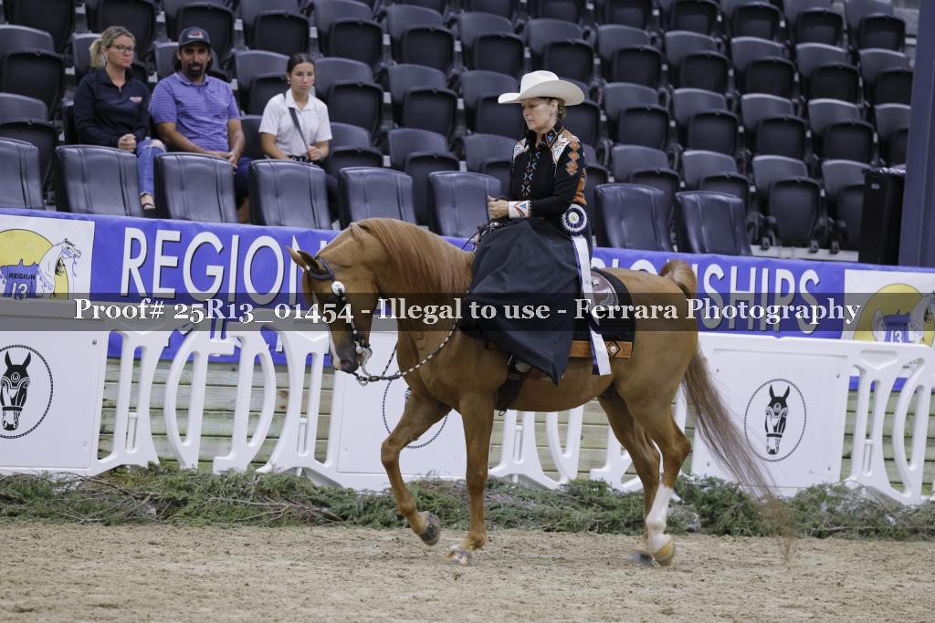 Proof 25R13_01454