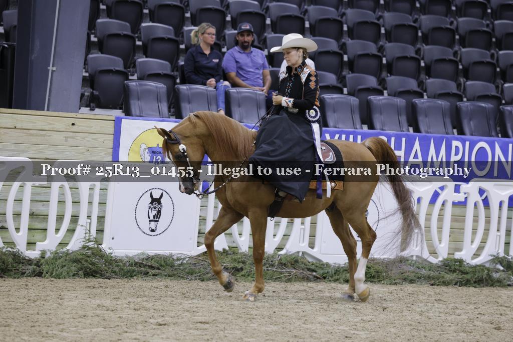 Proof 25R13_01455