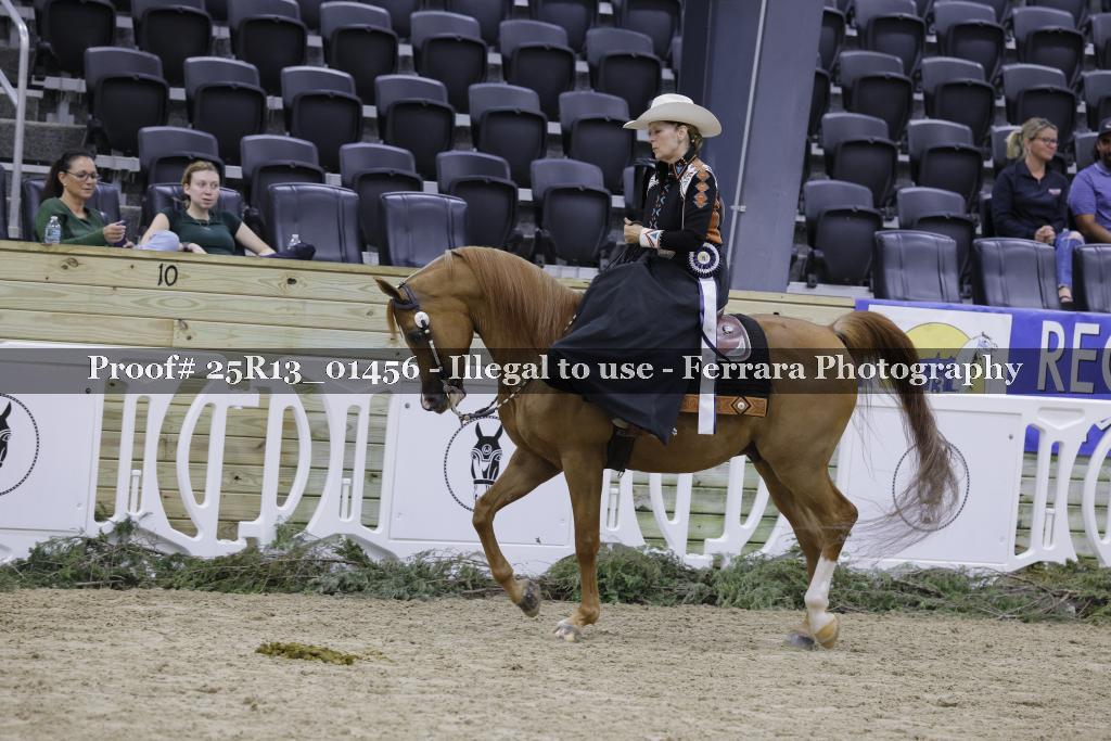 Proof 25R13_01456