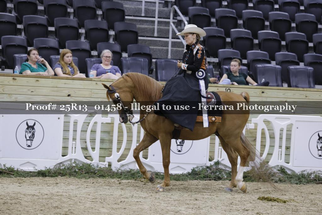 Proof 25R13_01458