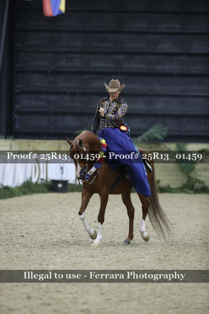 Proof 25R13_01459
