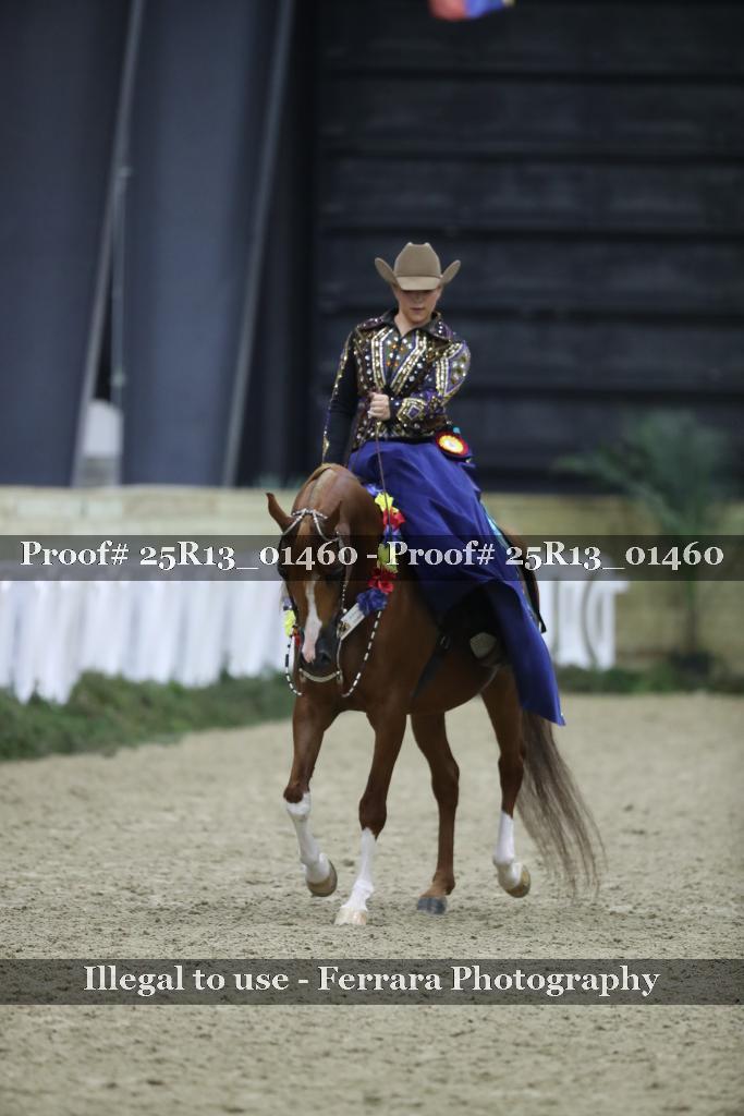 Proof 25R13_01460