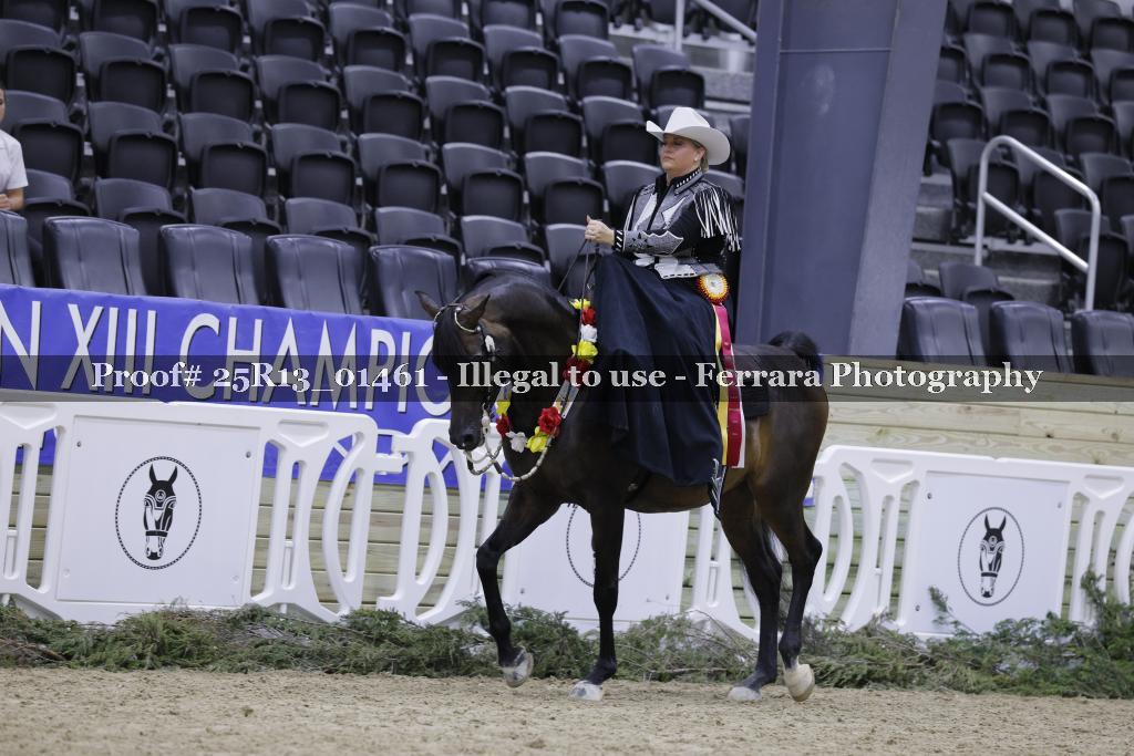 Proof 25R13_01461