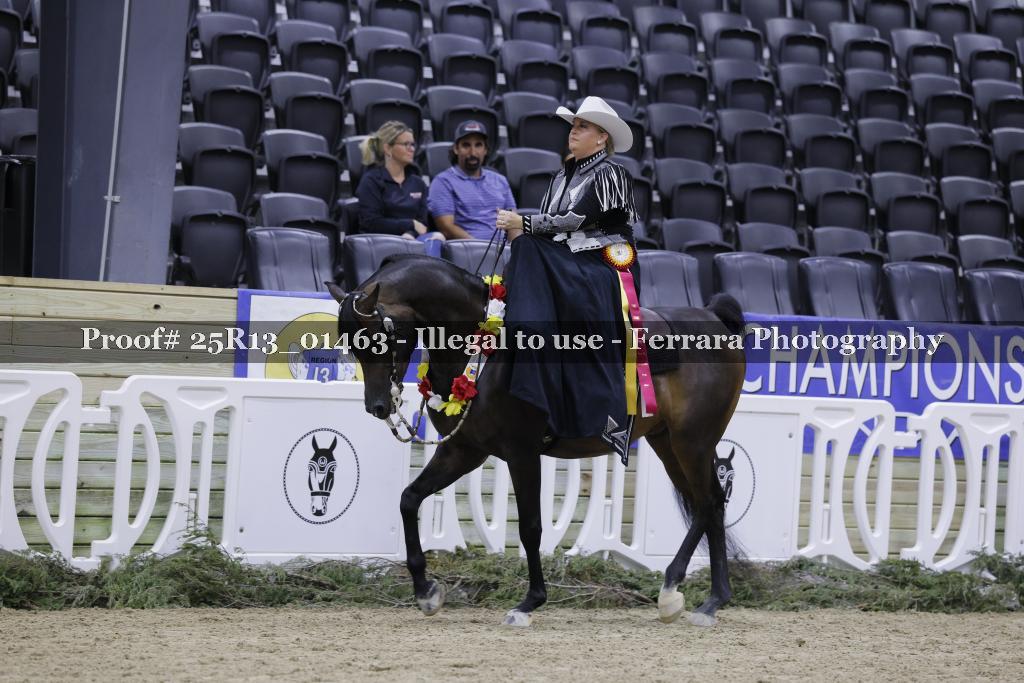 Proof 25R13_01463